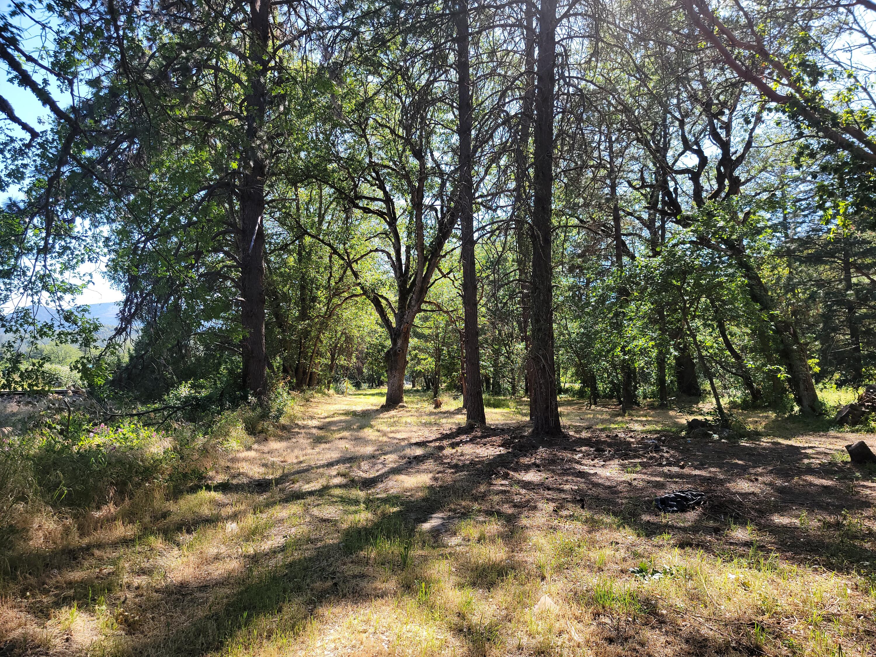River North Road, Unit 3300 Gold Hill, OR 97525 - Photo 11 of 43 20240605_162313