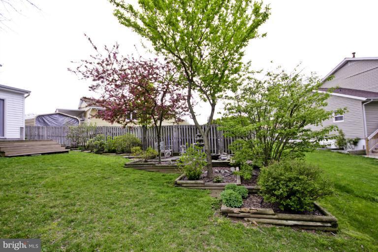 8245 Rupert Road South Millersville, MD 21108 - Photo 5 of 30 a view of a backyard with table and chairs plants and trees