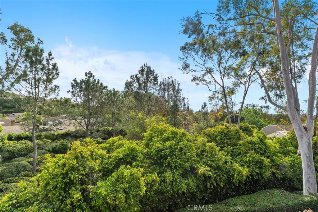 1 Rainbow Falls Irvine, CA 92603 - Photo 29 of 52