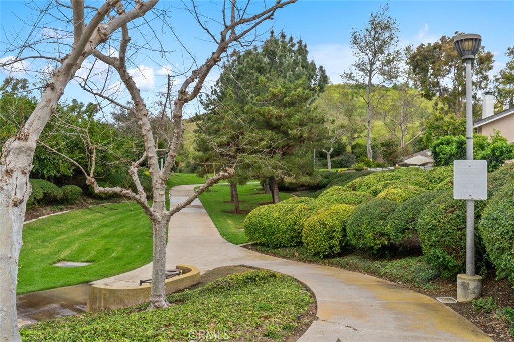 1 Rainbow Falls Irvine, CA 92603 - Photo 43 of 52