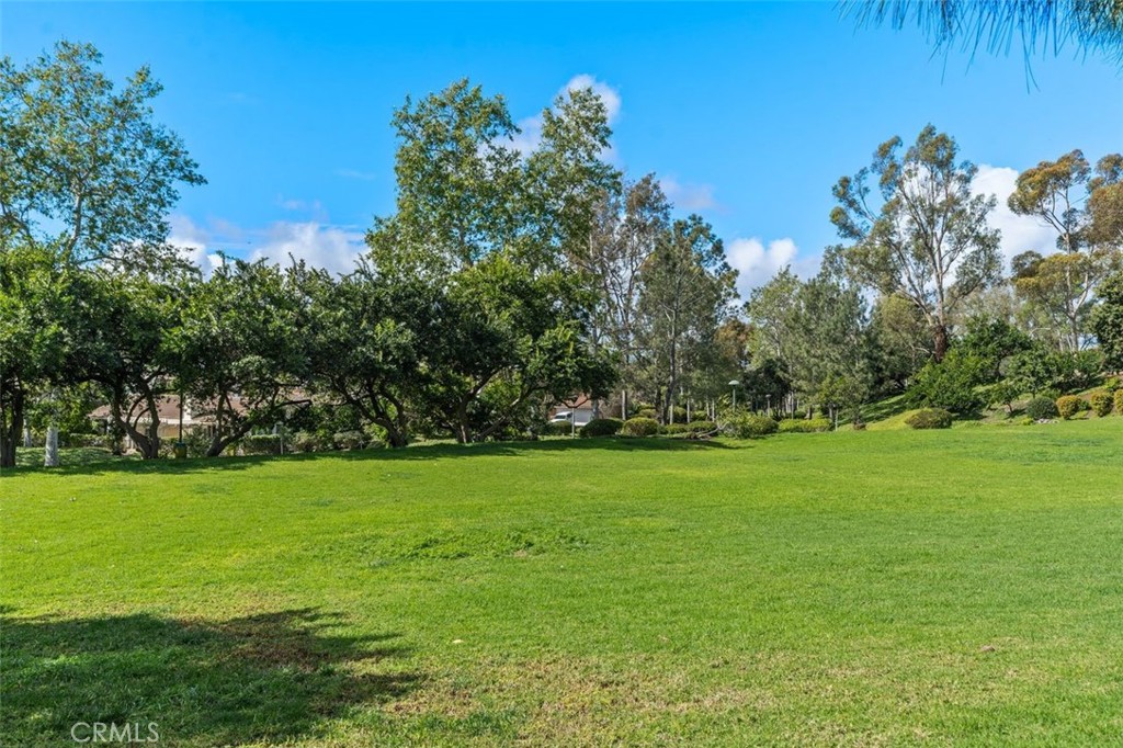 1 Rainbow Falls Irvine, CA 92603 - Photo 47 of 52