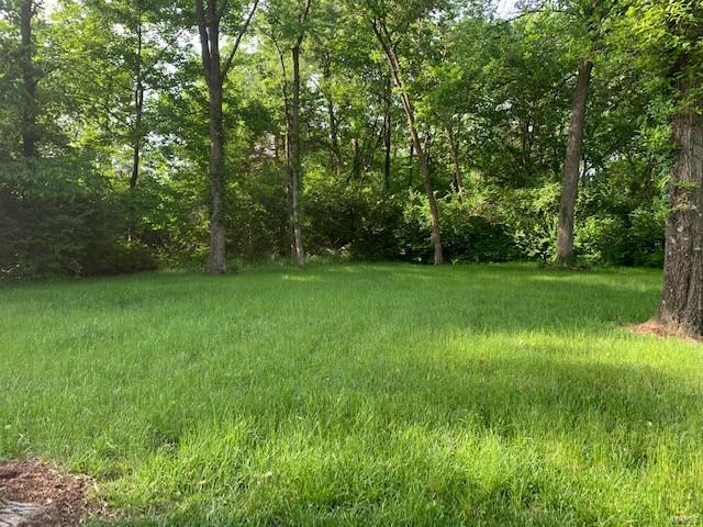1907 Grassy Ridge Road St. Louis, MO 63122 - Photo 48 of 54 Gallery Image 48