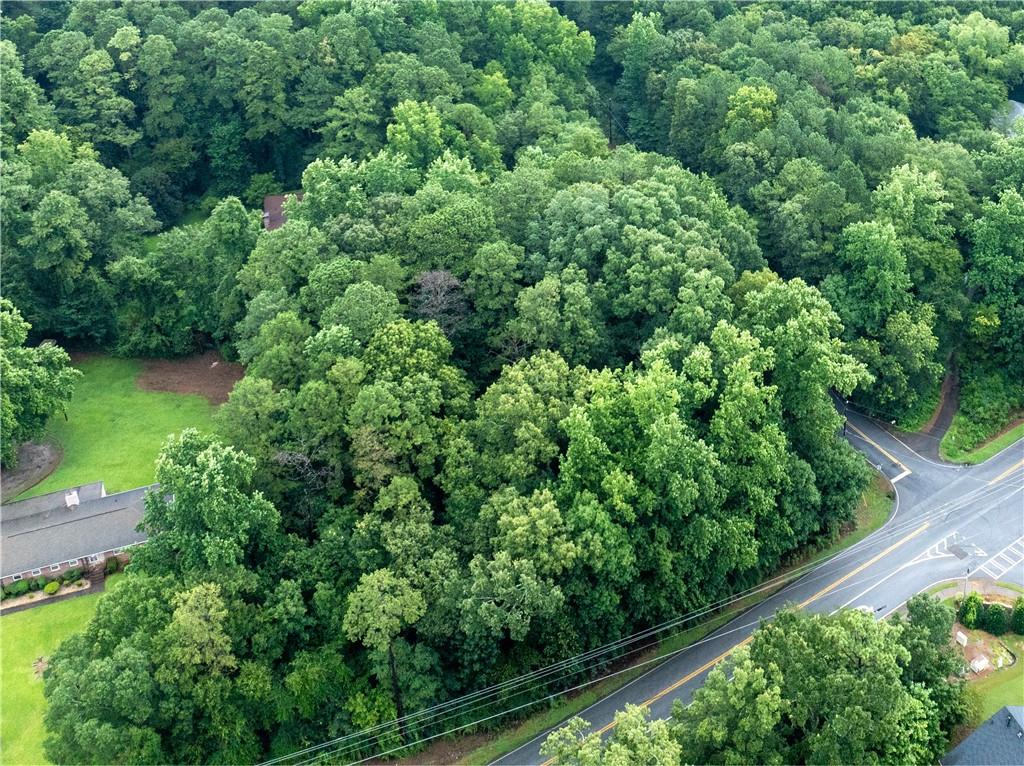 4225 Weelaunee Road Ellenwood, GA 30294 - Photo 11 of 15 an aerial view of a house with a yard