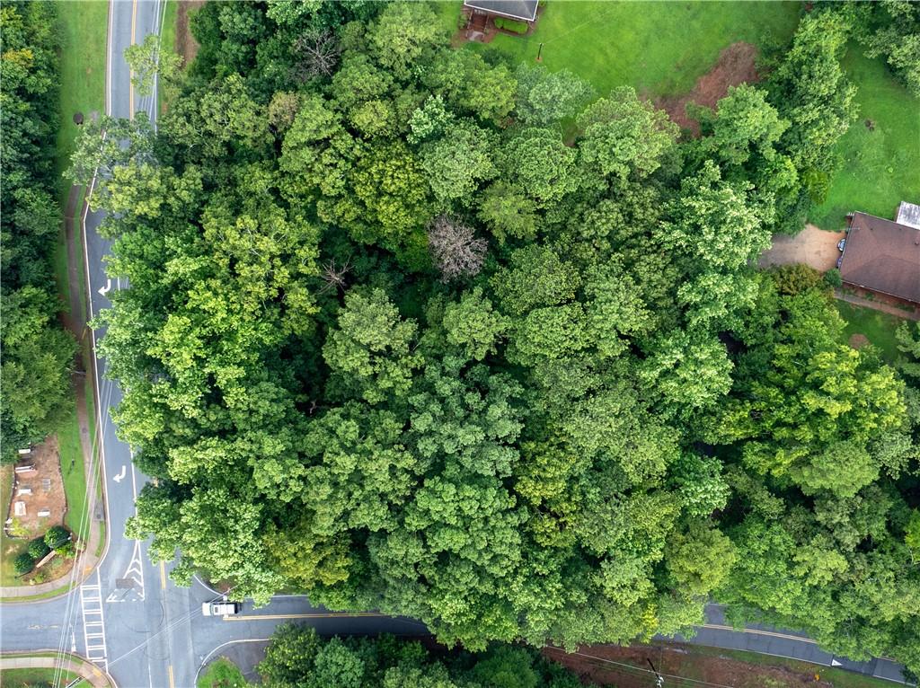 4225 Weelaunee Road Ellenwood, GA 30294 - Photo 7 of 15 an outdoor view of a garden with plants