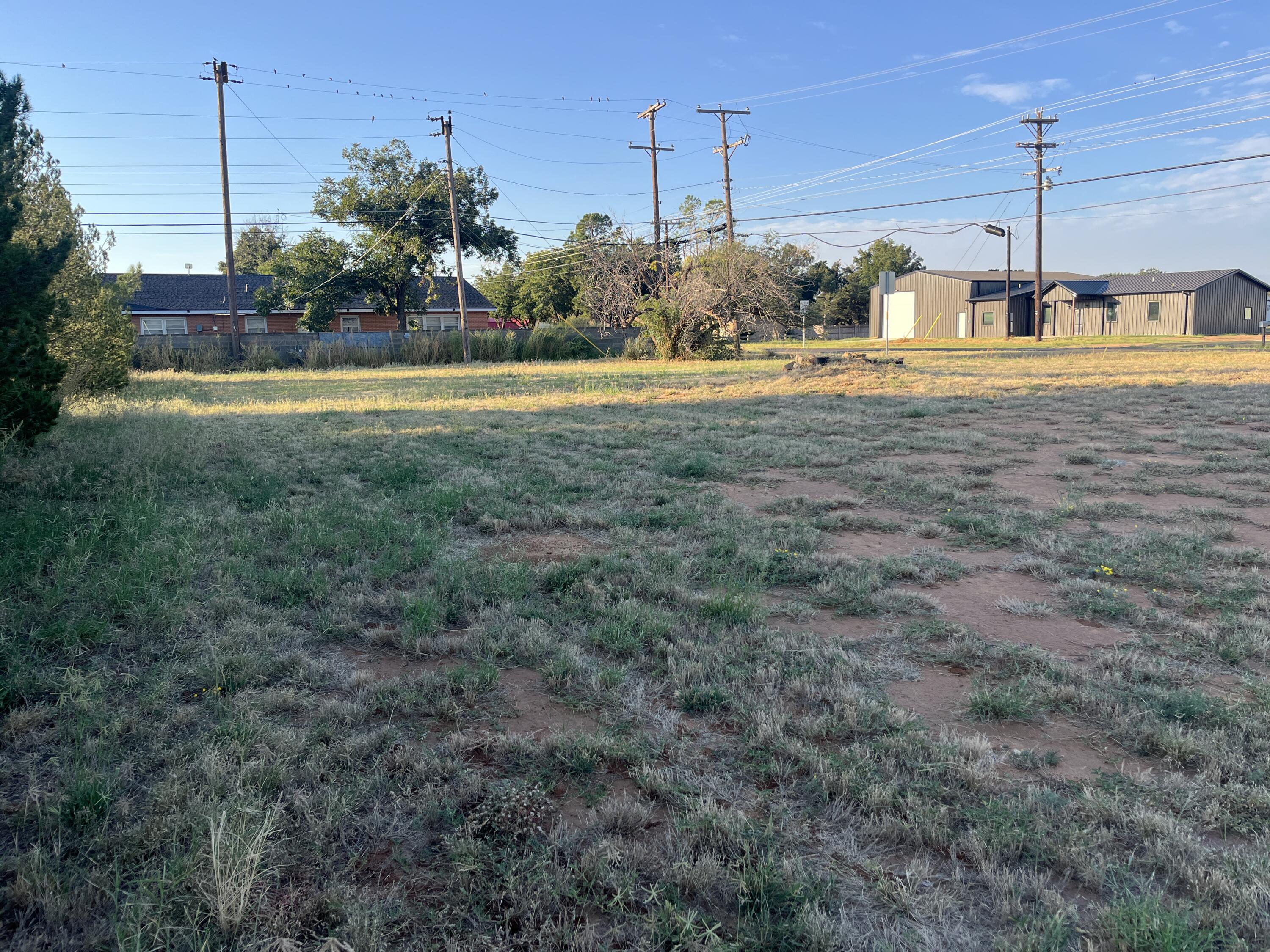 101 Northeast 26th Street Lamesa, TX 79331 - Photo 1 of 3 a view of a yard