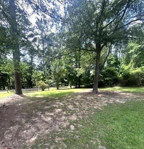 519 Fred Scott Pollock, LA 71467 - Photo 4 of 6