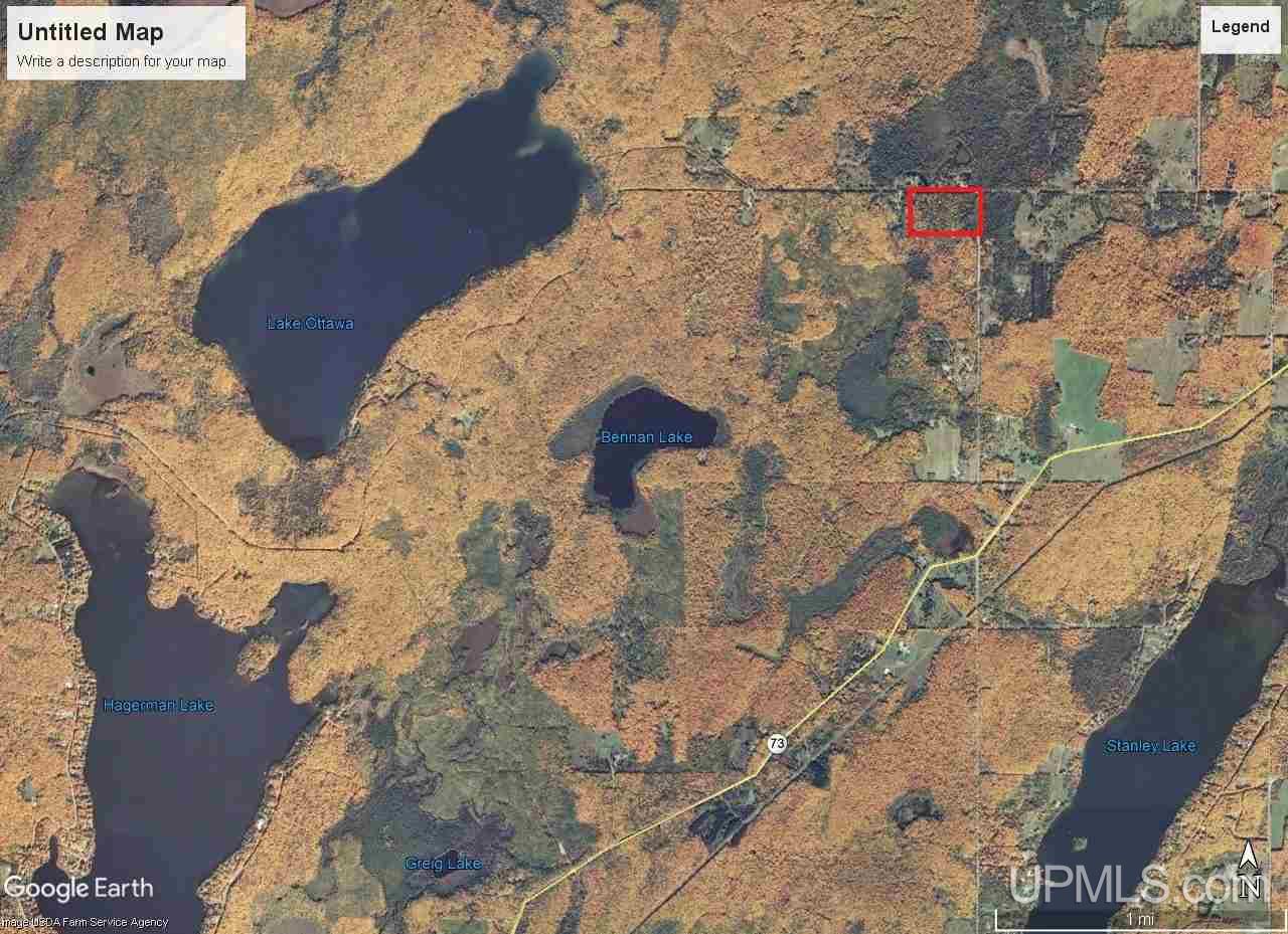 20-acres Ottawa Lake Road Iron River, MI 49935 - Photo 10 of 11