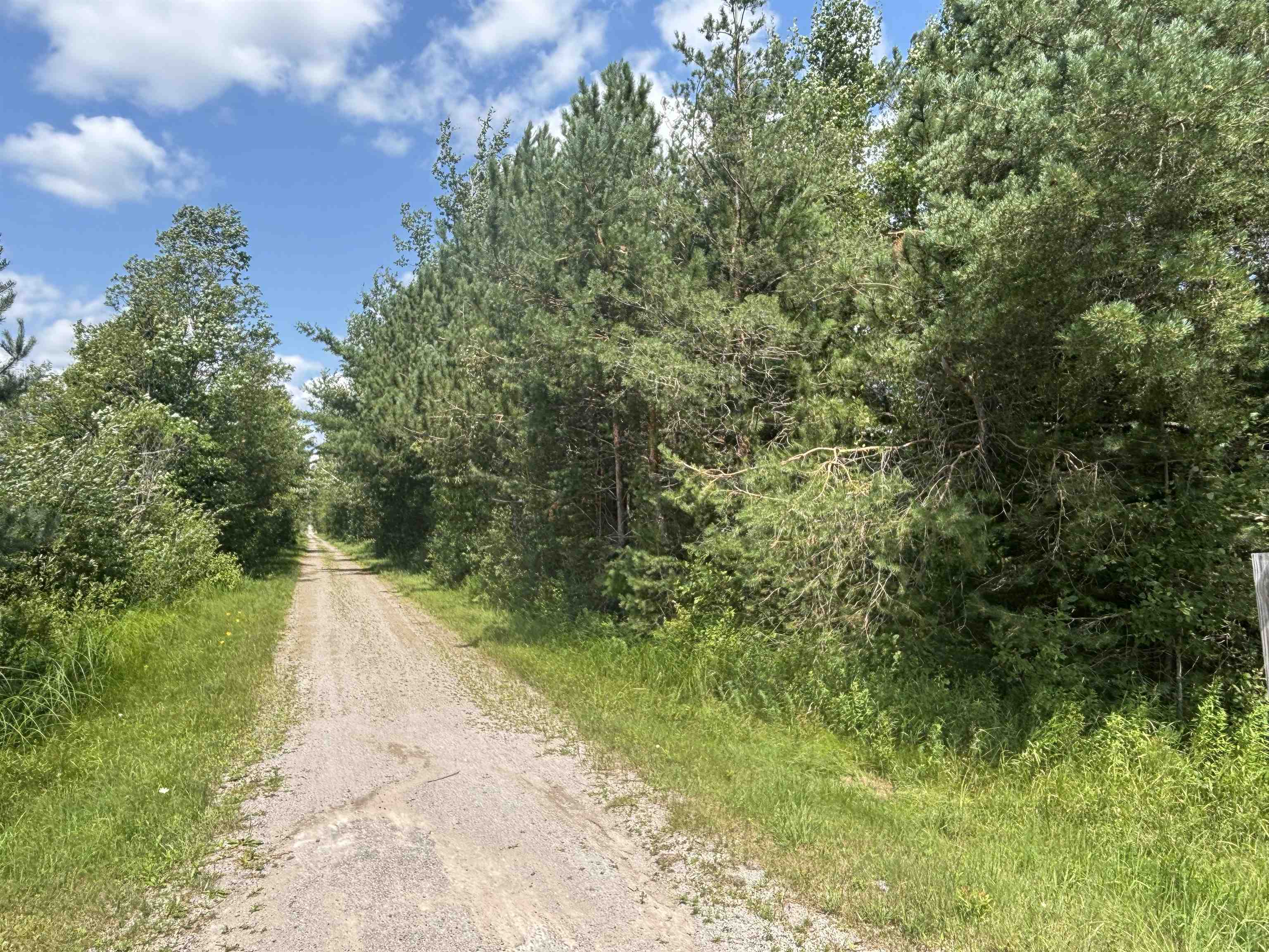 628 Badgley Road Vanderbilt, MI 49795 - Photo 34 of 36 1948988-e2471cf0-1a20-42fd-8038-06893c3e7e4c.JPG