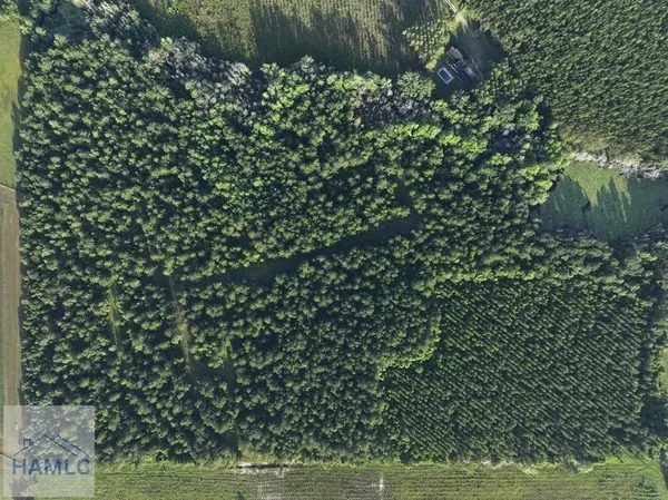 $333,125 | 3 Oglethorpe Road, Jesup, GA 31545