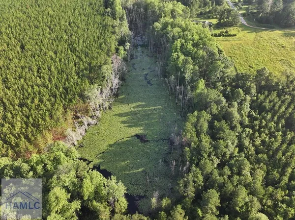 $333,125 | 3 Oglethorpe Road, Jesup, GA 31545