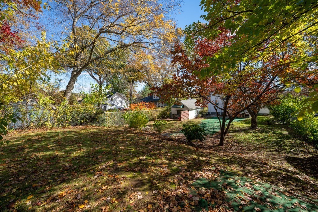 44 Hillside Avenue West Springfield, MA 01089 - Photo 28 of 34 a view of a tree in front of a house