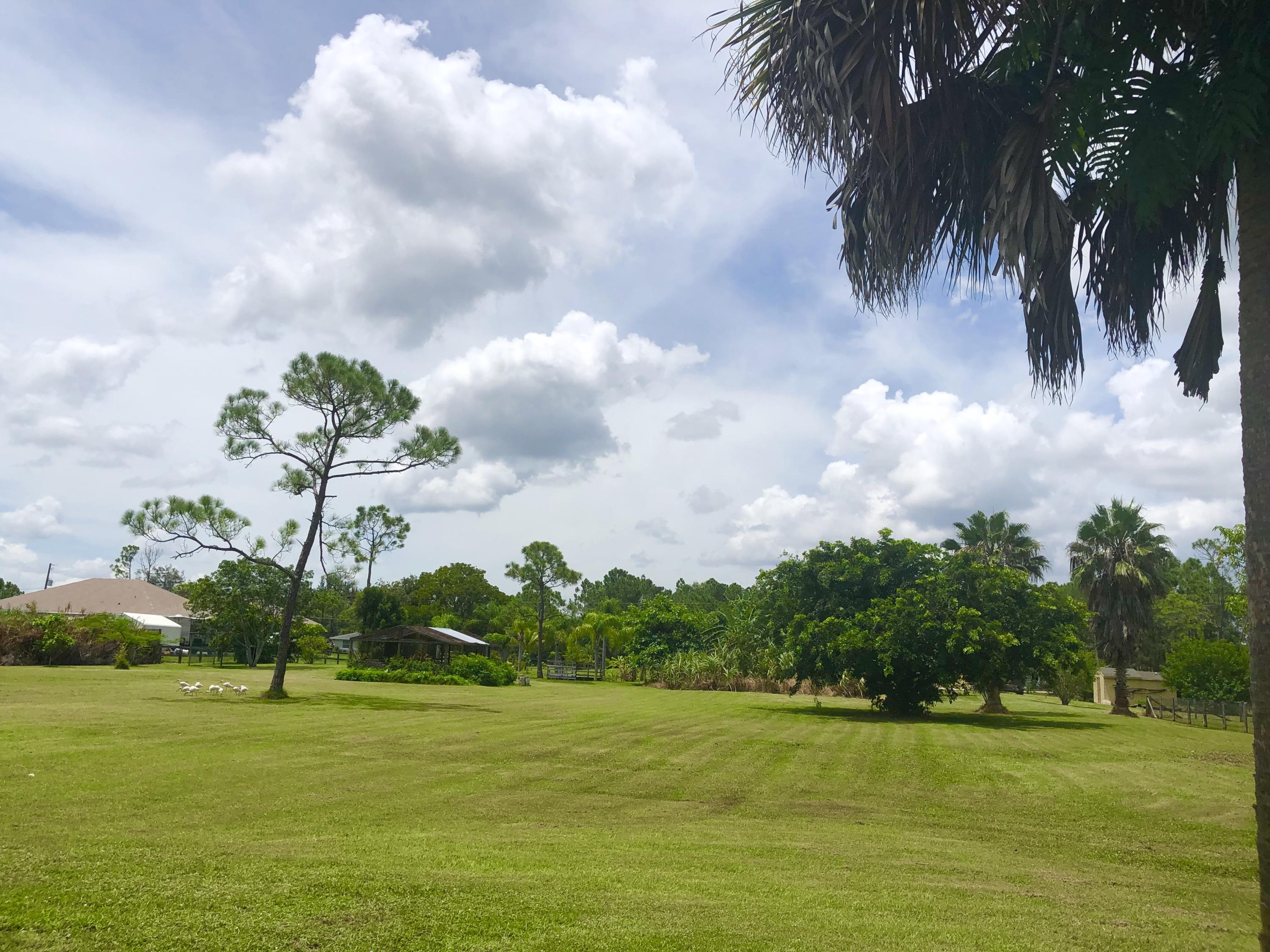 17854 82nd Road North Loxahatchee, FL 33470 - Photo 11 of 20 05DC6B6C-74F3-4761-9E86-5F3DCEAD0A1D