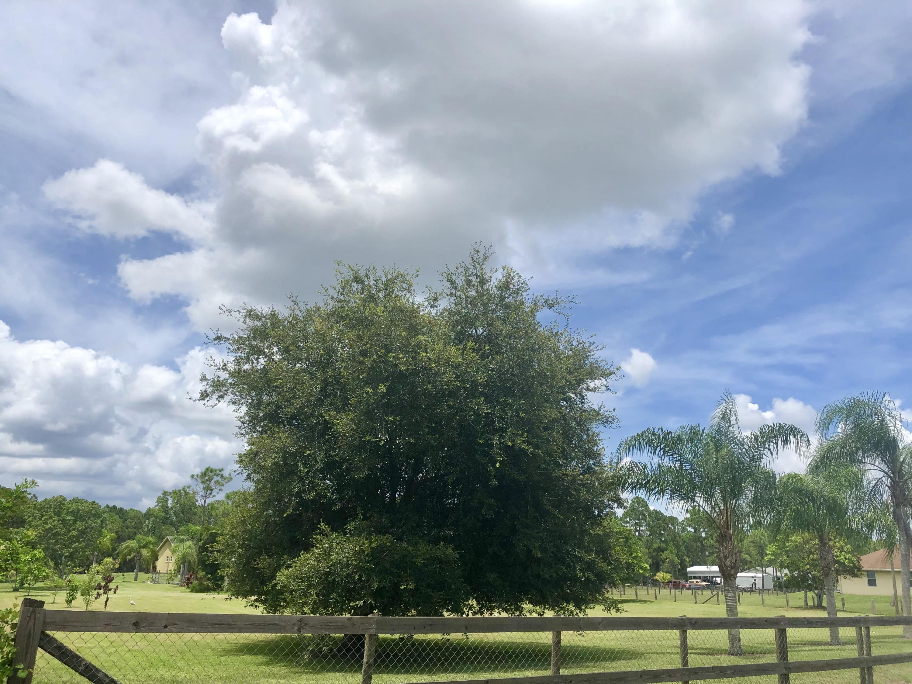 17854 82nd Road North Loxahatchee, FL 33470 - Photo 13 of 20 F0A26C3A-BEEF-46C0-BBDD-269D513F8ADA