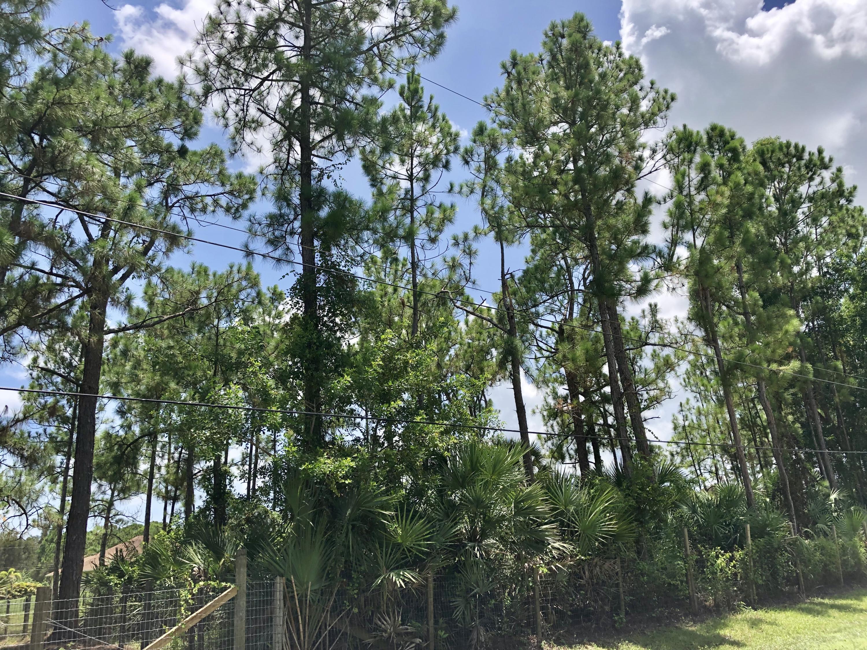 17854 82nd Road North Loxahatchee, FL 33470 - Photo 20 of 20 0B1D6FF5-2225-4E25-A105-042E4EAAF134