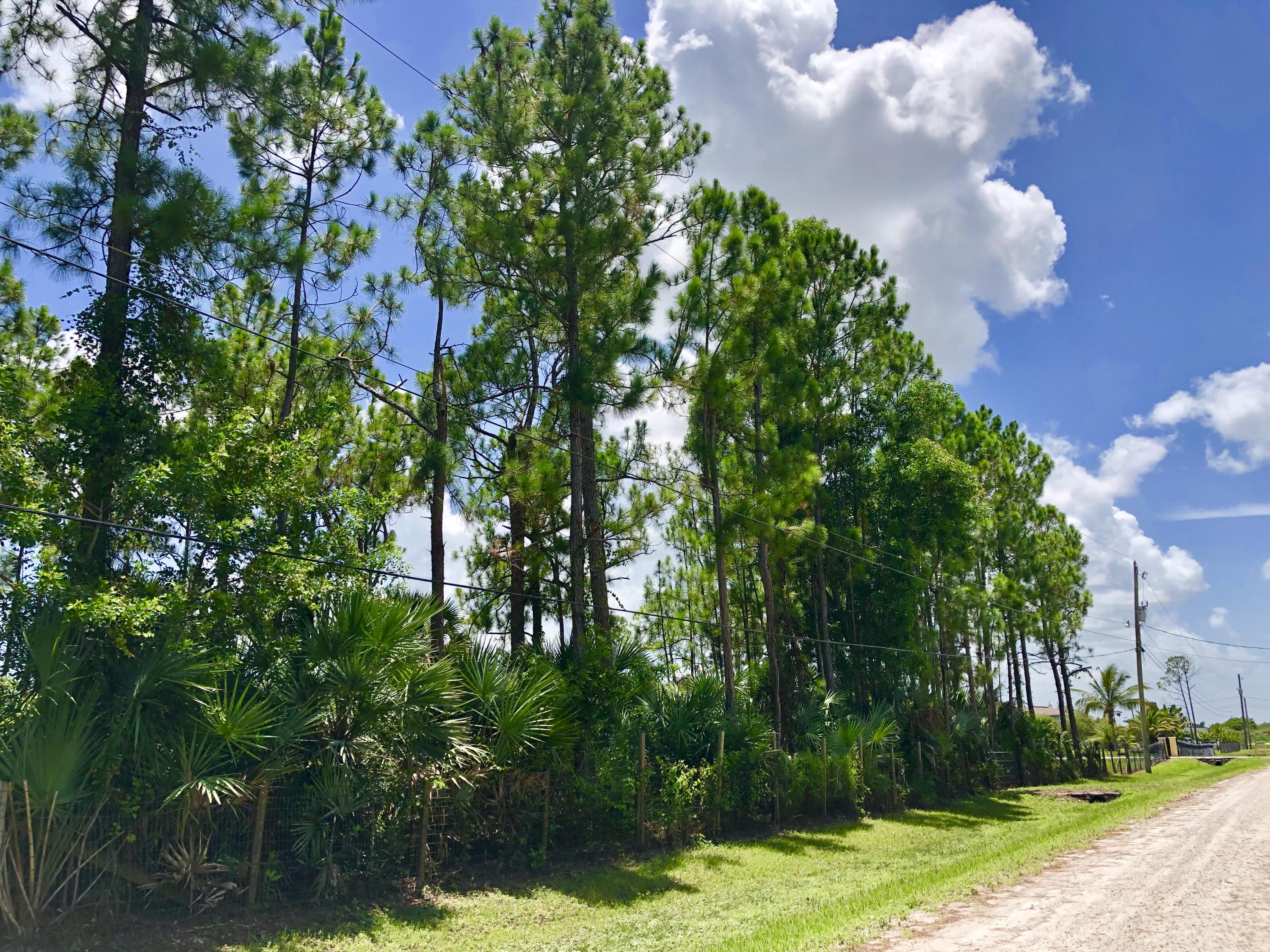 17854 82nd Road North Loxahatchee, FL 33470 - Photo 3 of 20 F73855A3-8AC1-4B56-A61D-037E2184C588