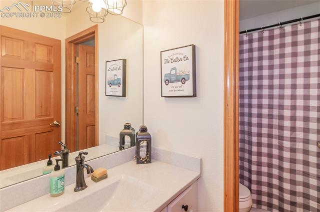 203 Joshua Road Divide, CO 80814 - Photo 24 of 39 Gallery Image 24
