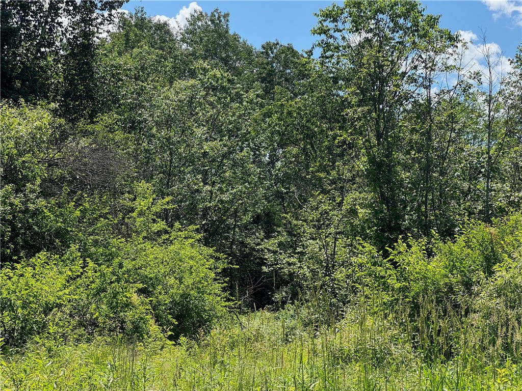 8143 Wright Road Winter, WI 54896 - Photo 19 of 23