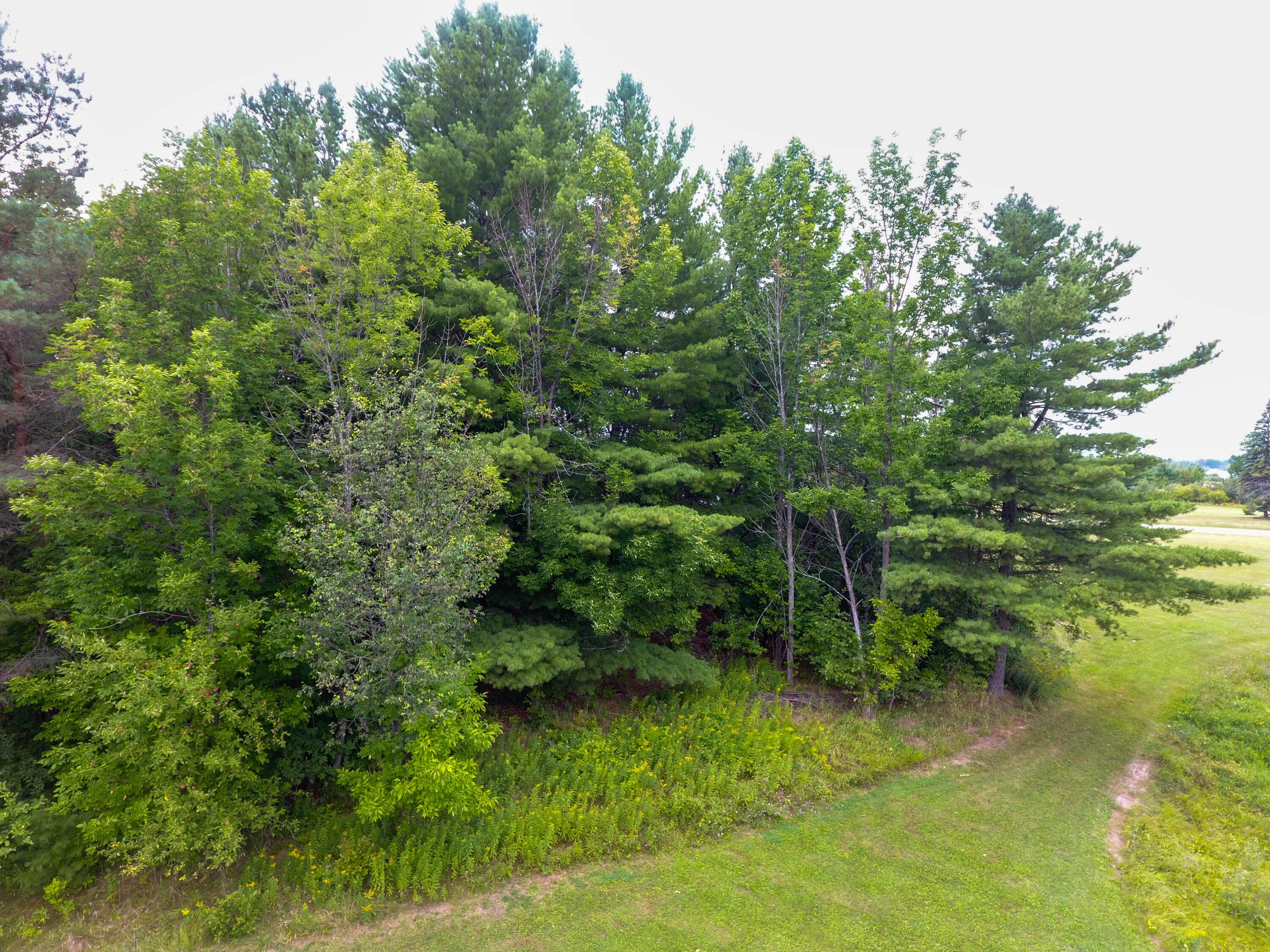 Lot #13 Rivers Ridge Court Cheboygan, MI 49721 - Photo 12 of 12 Gallery Image 12