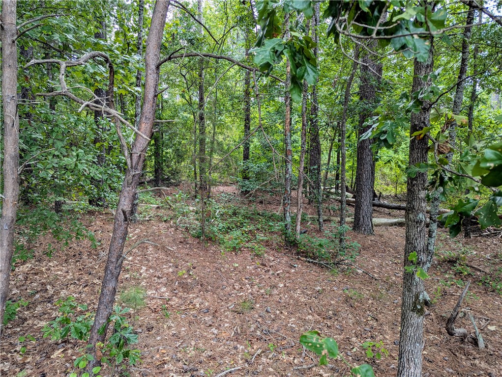 Tbd Carroll Road Belton, SC 29627 - Photo 3 of 7