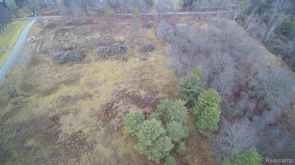 79922 Scottish Hills Lane Romeo, MI 48065 - Photo 7 of 8