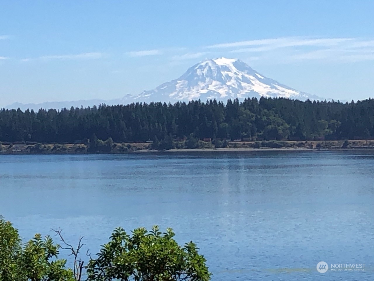 14125 Lyle Point Road Anderson Island, WA 98303 - Photo 5 of 38 a view of a yard