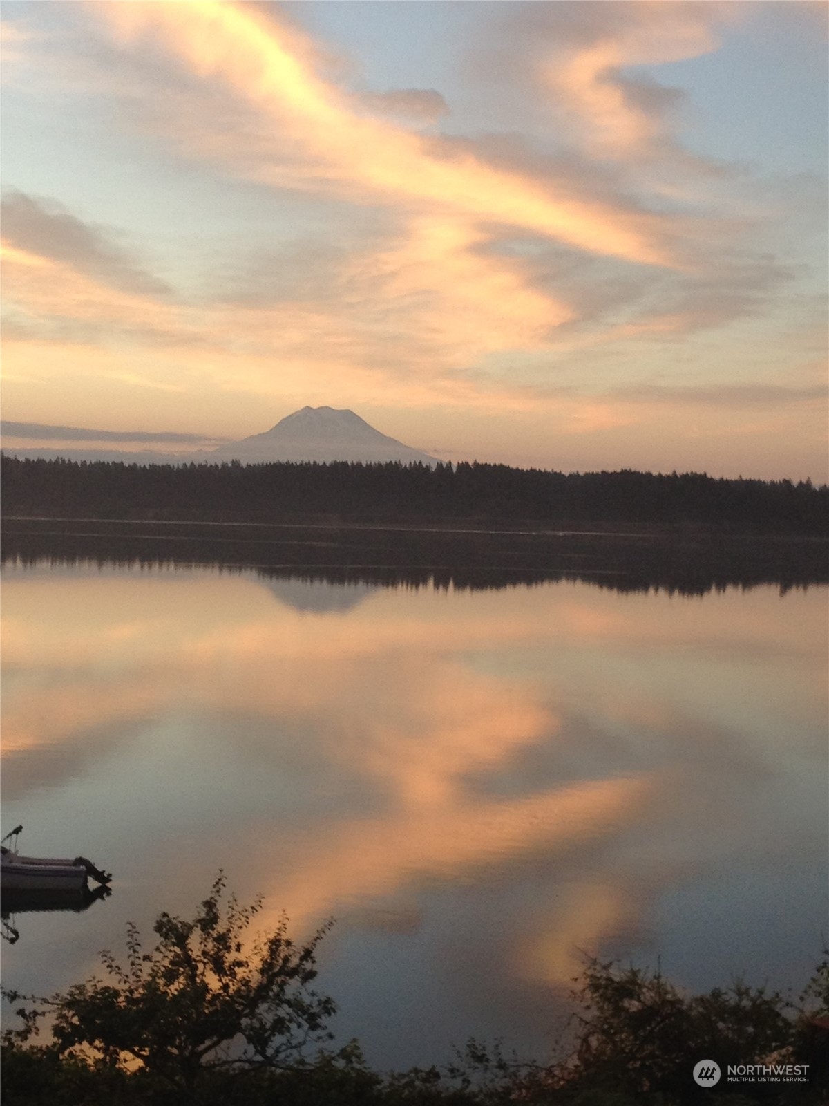 14125 Lyle Point Road Anderson Island, WA 98303 - Photo 7 of 38 a view of lake with mountain