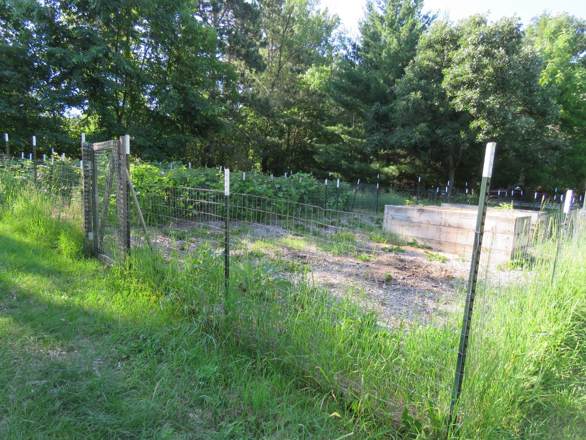 7738 County Road 17 Rice, MN 56367 - Photo 16 of 57