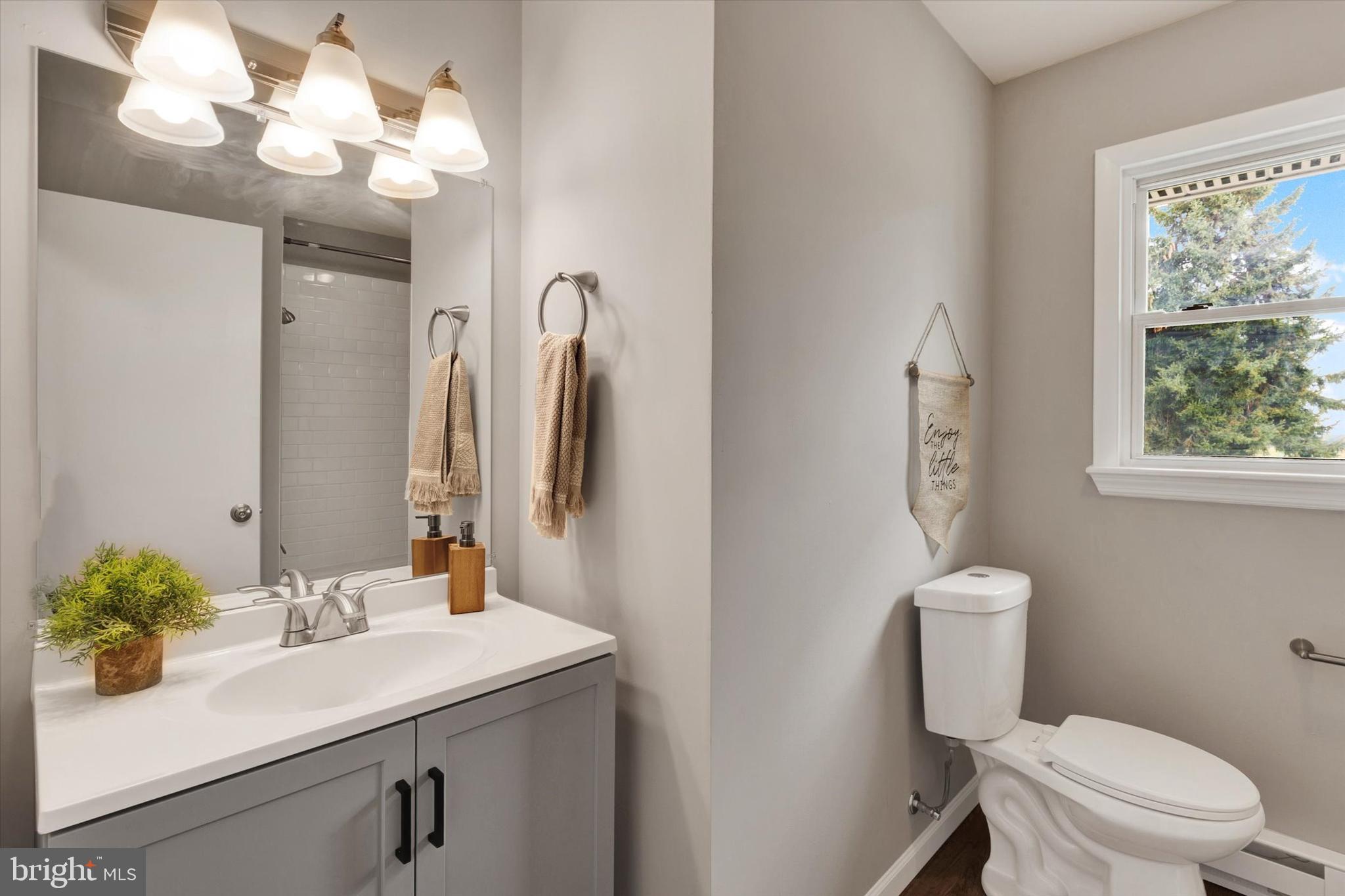 1227 Lebanon Road Manheim, PA 17545 - Photo 18 of 31 a bathroom with a sink a toilet and a mirror