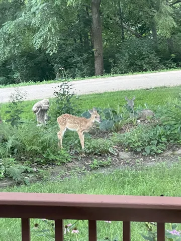 $339,900 | 304 Wild Cherry Drive, Dixon, IL 61021