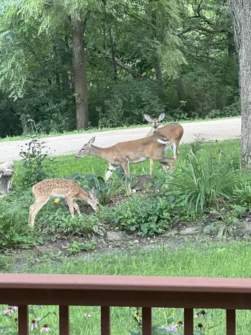 $339,900 | 304 Wild Cherry Drive, Dixon, IL 61021