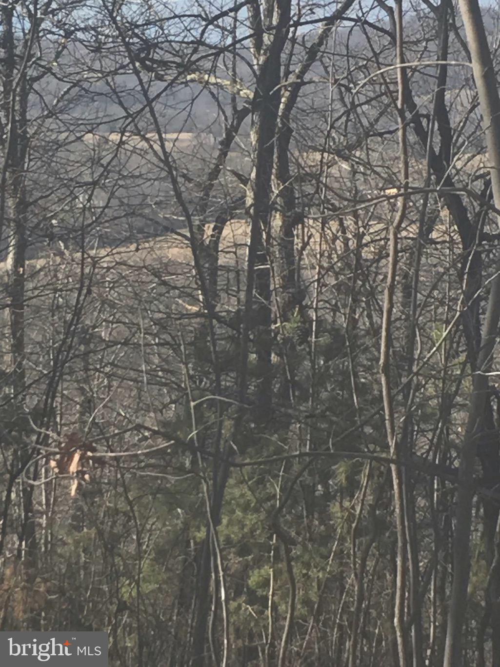 None Wilson Road Marshall, VA 20115 - Photo 5 of 6 Neighboring pastures thru trees