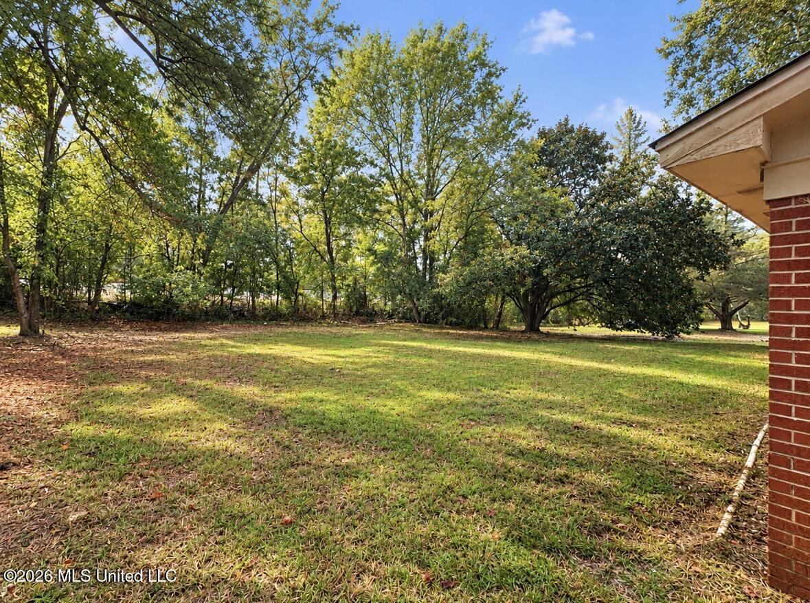 102 Lady Catherine Road Pelahatchie, MS 39145 - Photo 3 of 3 IMG_7048