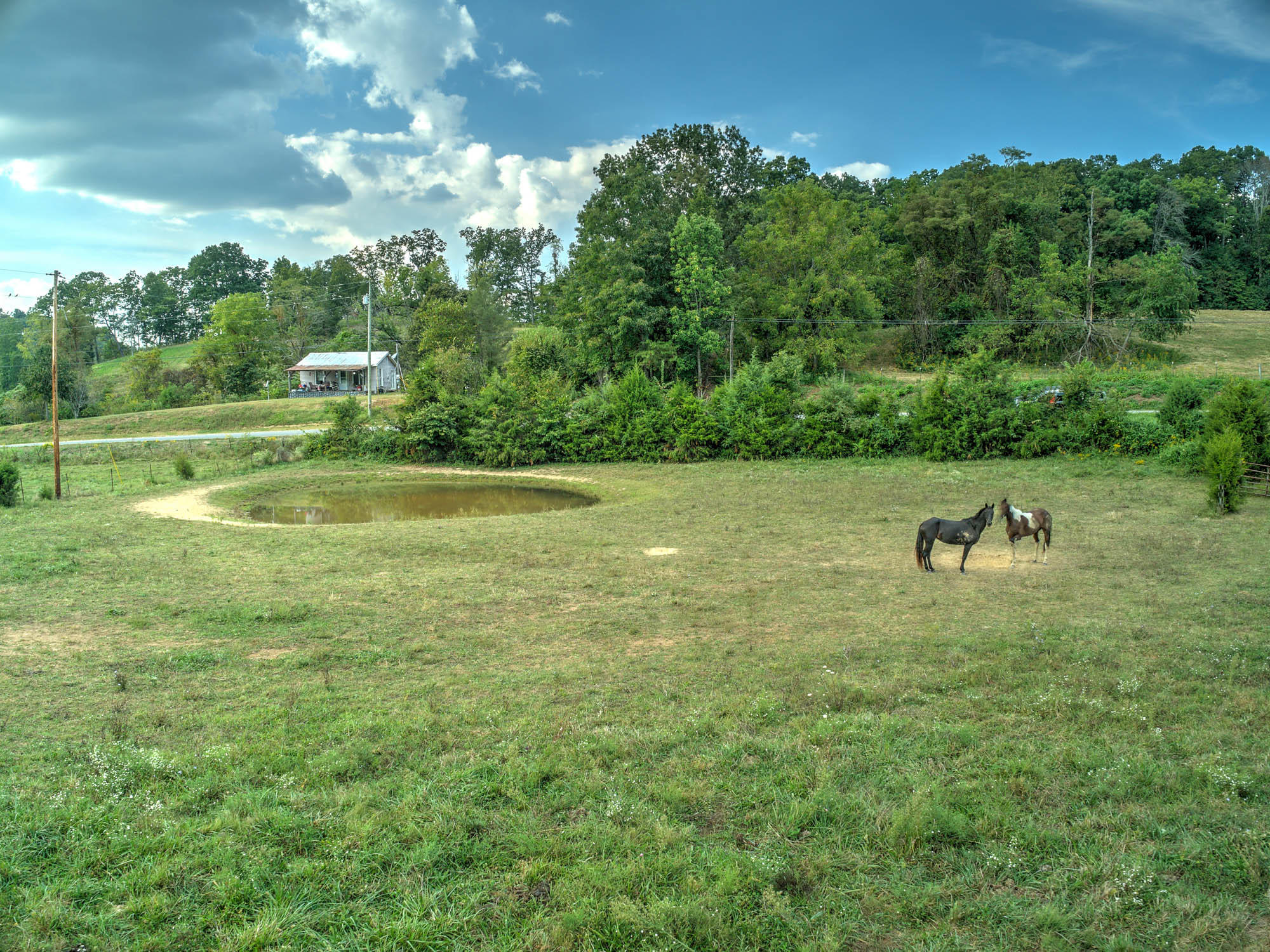 295 Jeroldstown Road Fall Branch, TN 37656 - Photo 3 of 16 295 Jeroldstown Rd-11