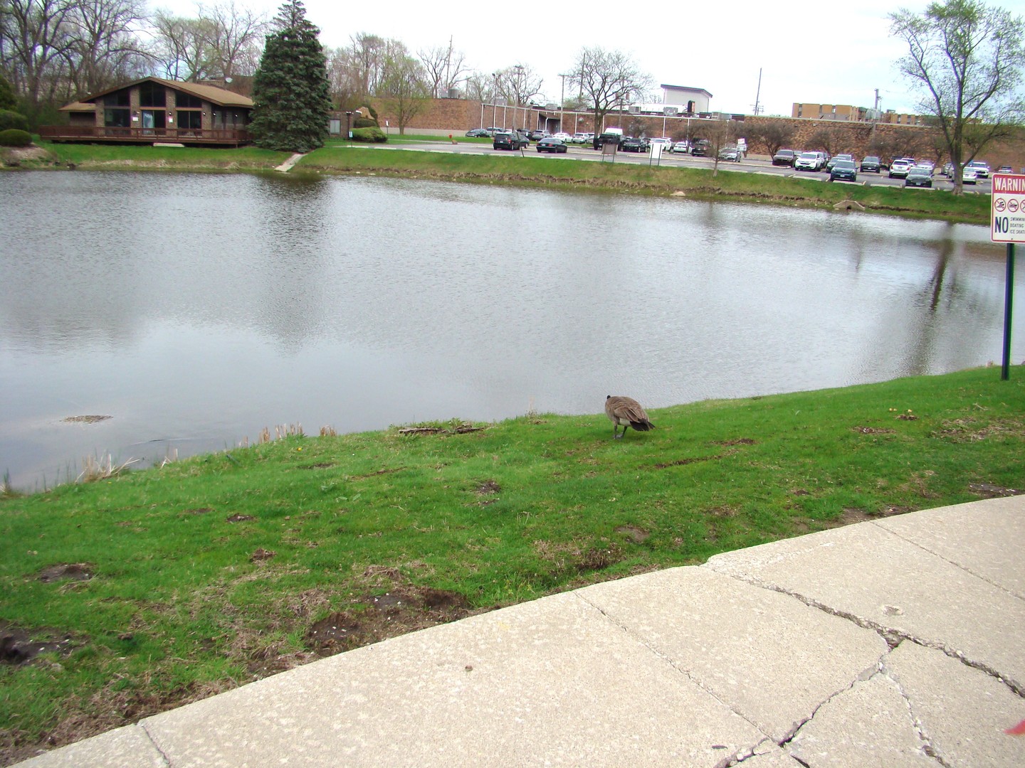 830 Elder Road, Unit B202 Homewood, IL 60430 - Photo 29 of 32 a view of a lake with houses in the background