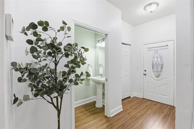 a view of a hallway with wooden floor and a potted plant