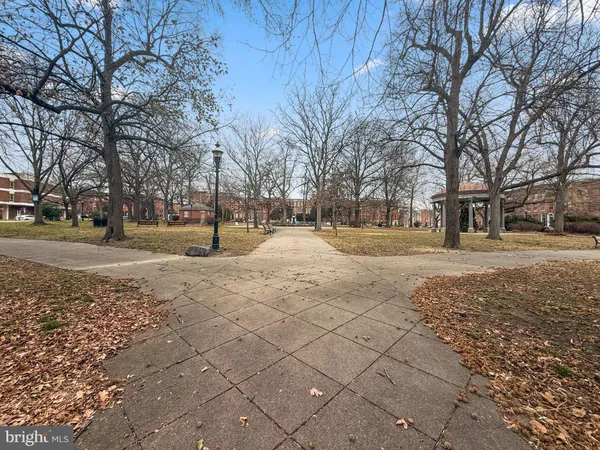 a view of road with with trees