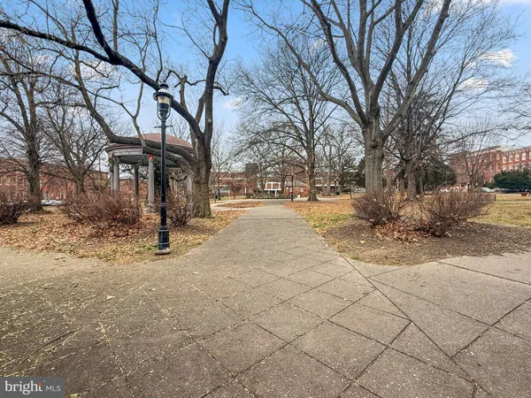 a picture of a park