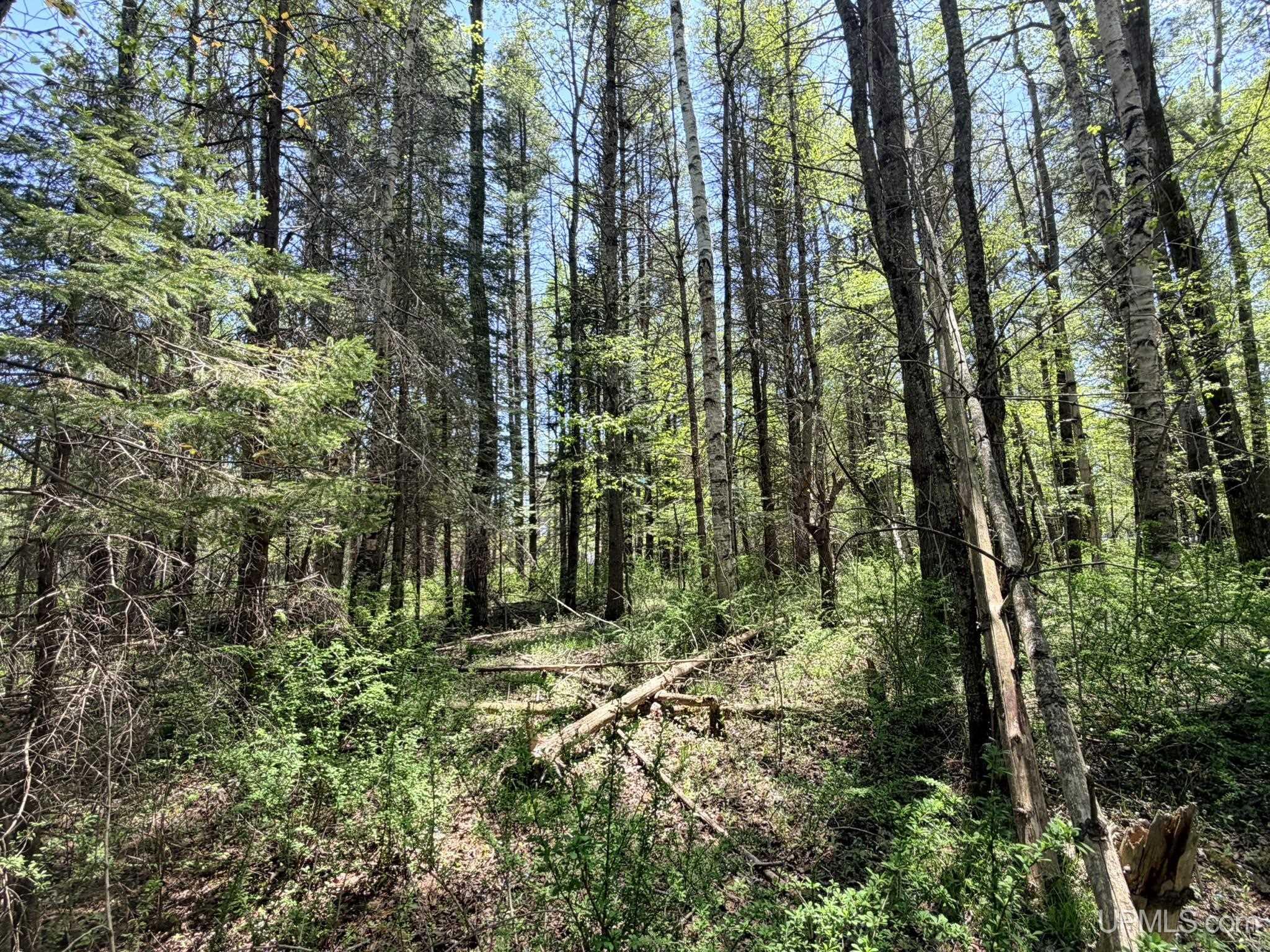 Tbd Pine Ridge Road Manistique, MI 49854 - Photo 17 of 20