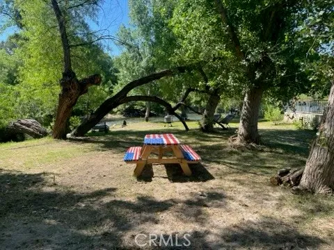 a small garden covered with tall trees