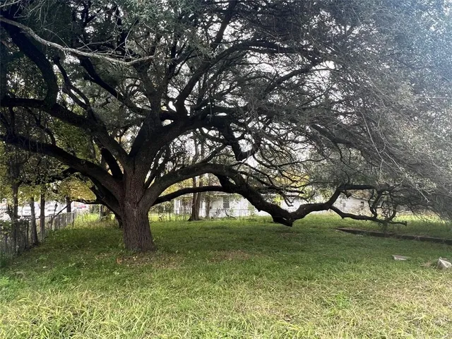 a view of yard with green space