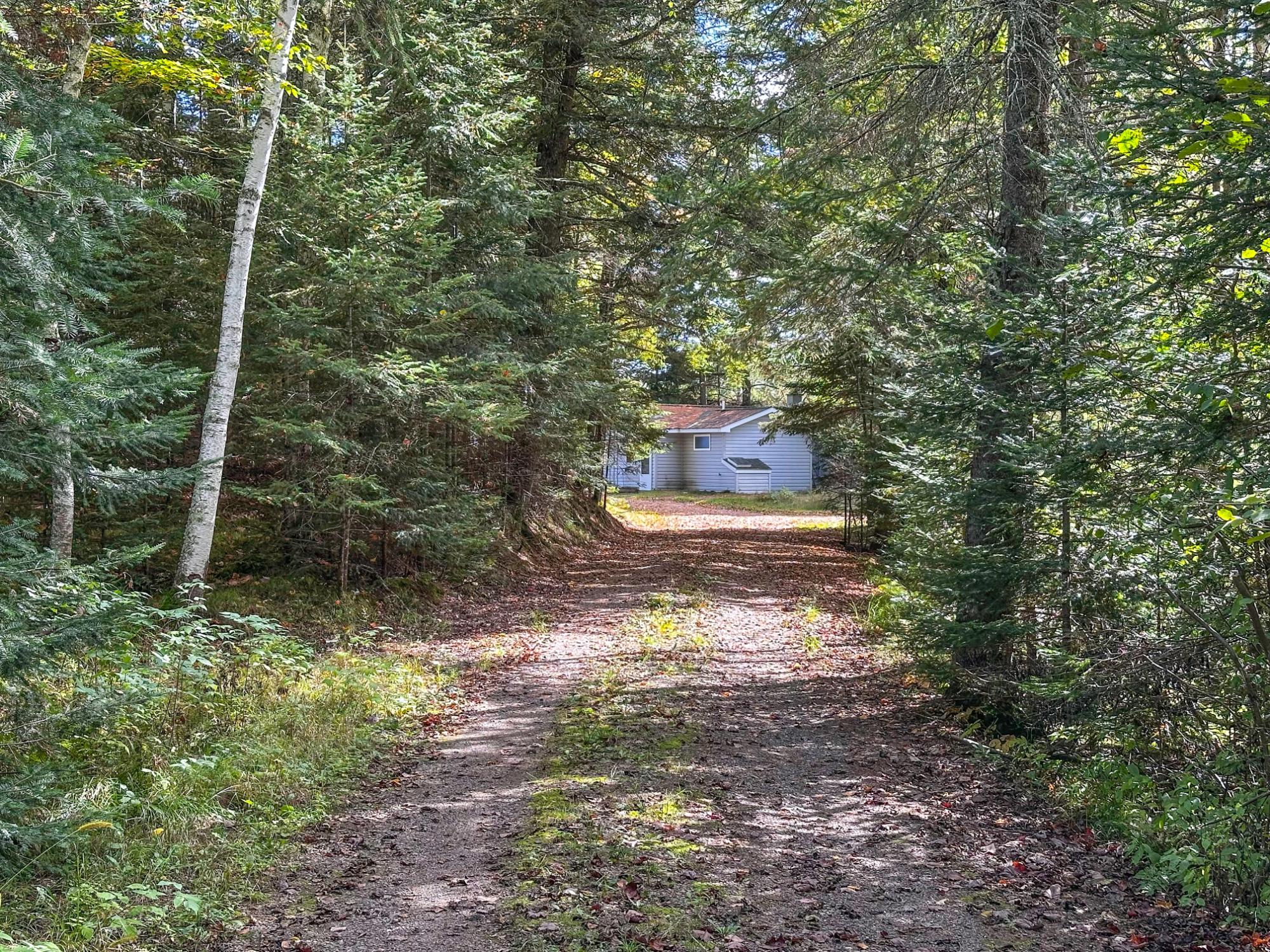 N16292 Silver Birch Road Park Falls, WI 54552 - Photo 3 of 44 Gallery Image 3