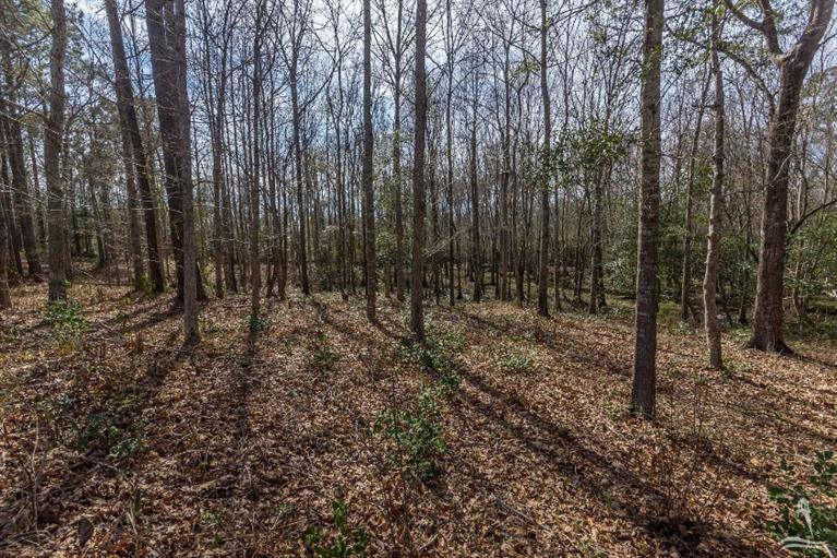 693 Stone Chimney Road Southwest Supply, NC 28462 - Photo 1 of 6 Primary Photo
