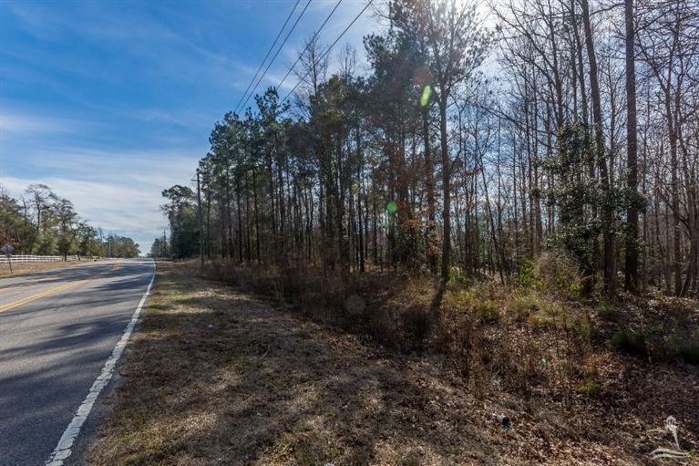 693 Stone Chimney Road Southwest Supply, NC 28462 - Photo 2 of 6 Additional Photo