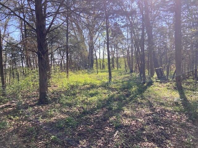 2451 Sardis Road Mount Olivet, KY 41064 - Photo 27 of 42