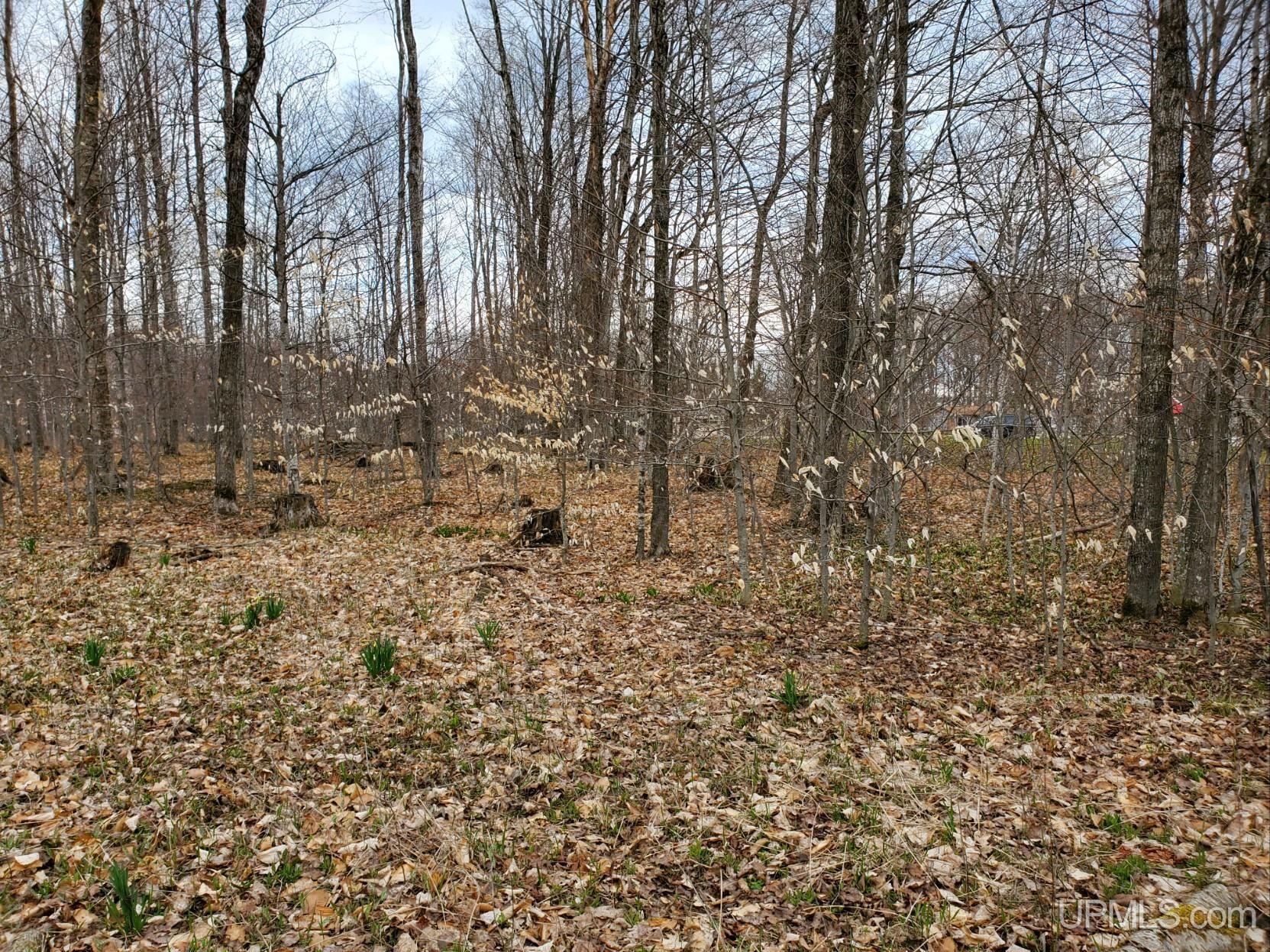 Tbd North Ash Road Manistique, MI 49854 - Photo 7 of 7 Gallery Image 7