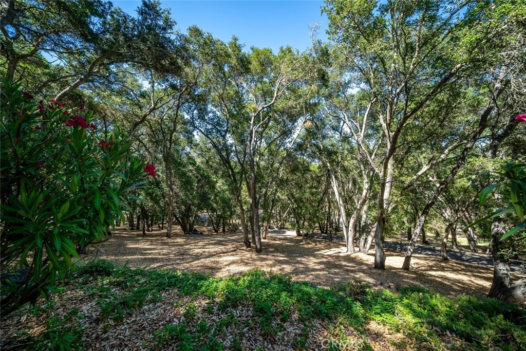 1731 San Fernando Road Atascadero, CA 93422 - Photo 28 of 75