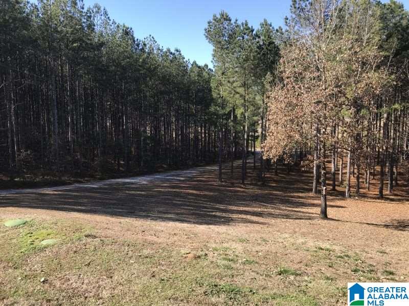 1046 Tom Cat Road Piedmont, AL 36272 - Photo 29 of 43