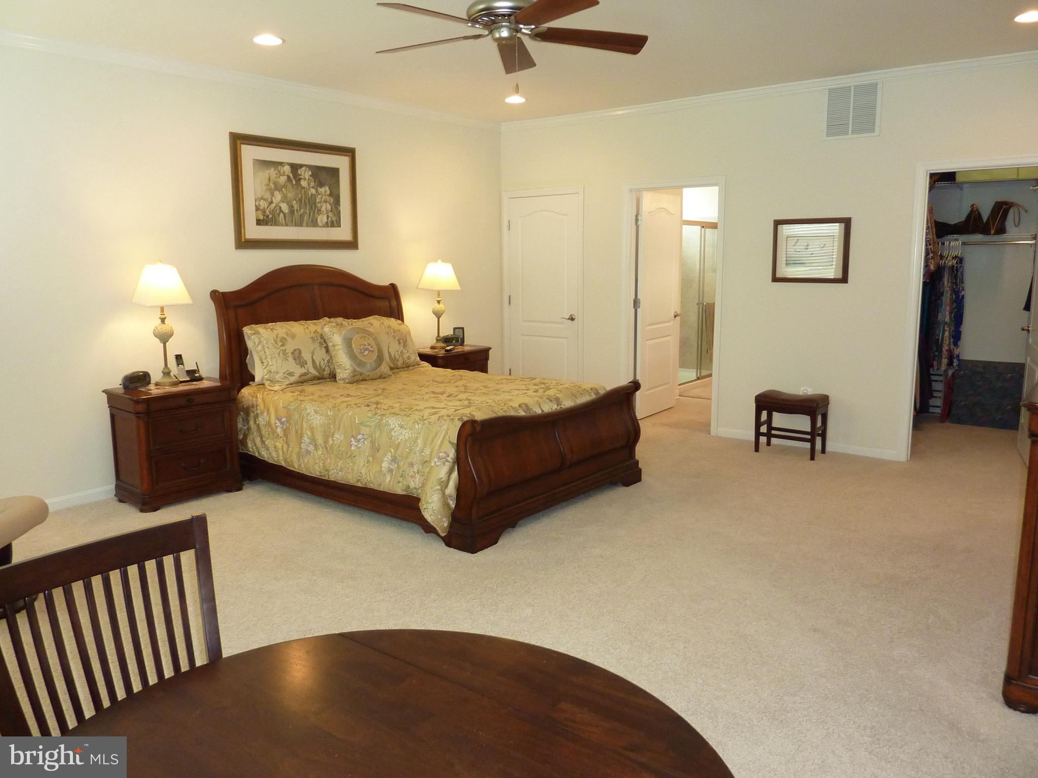 721 Cherry Tree Road Middletown, DE 19709 - Photo 12 of 39 Owner's Suite
