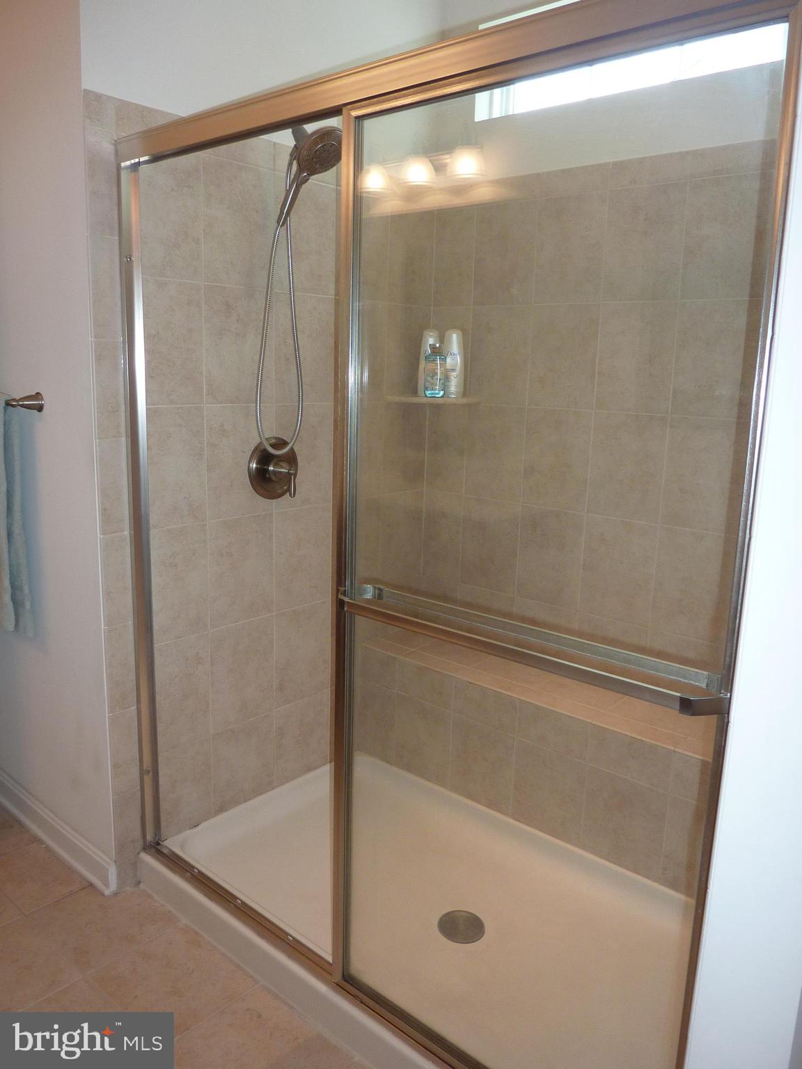 721 Cherry Tree Road Middletown, DE 19709 - Photo 17 of 39 Owner's Bath - Shower with Bench