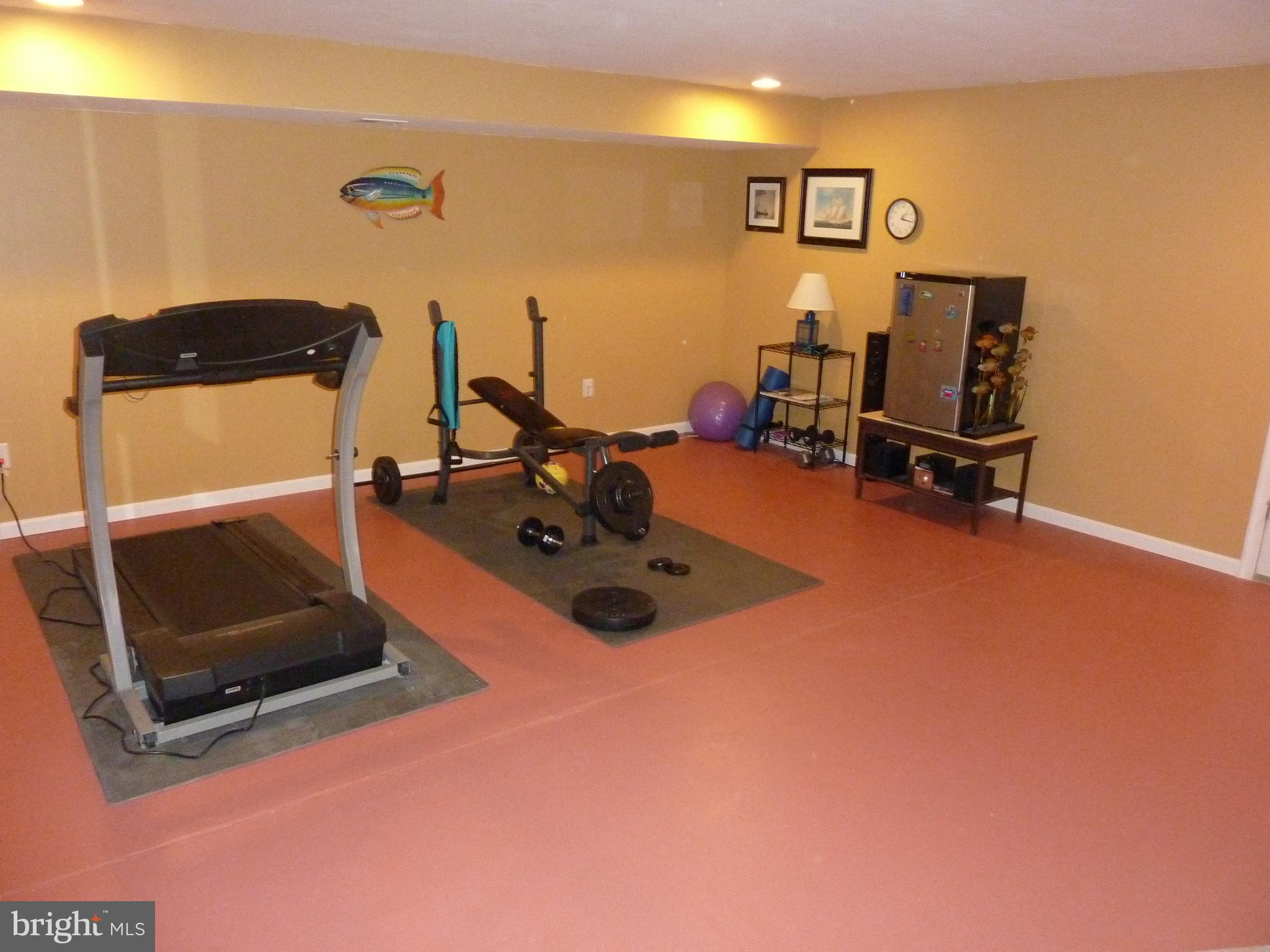 721 Cherry Tree Road Middletown, DE 19709 - Photo 29 of 39 Exercise Room